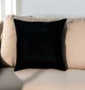 Set of Two 20" Black Throw Pillow Covers