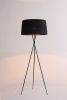 20 X 20 X 69 Black Carbon Floor Lamp