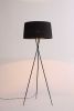 20 X 20 X 69 Black Carbon Floor Lamp
